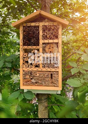 Hotel mit Holzwanzen für Insekten, die in einem grünen Baum hängen Stockfoto