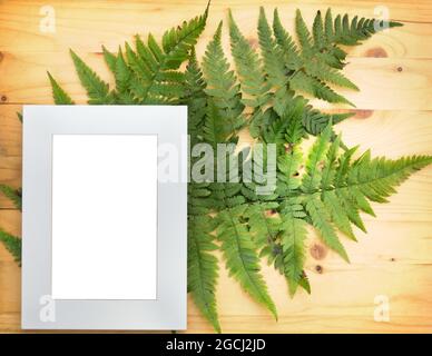 Bracken (Pteris). Florales Stillleben auf einem polierten Holzhintergrund mit einem unverkennbaren Rahmen Stockfoto