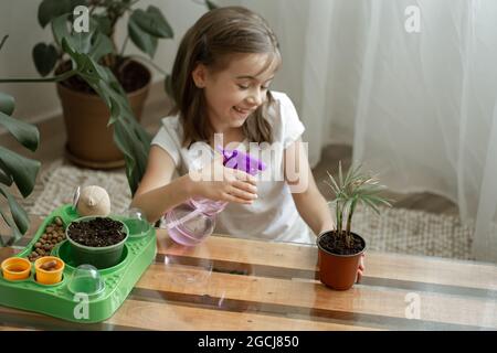 Lustige kleine Gärtnerin mit Pflanzen im Zimmer zu Hause, Bewässerung und Pflege für Zimmerpflanzen, Transplantationen Blumen. Stockfoto