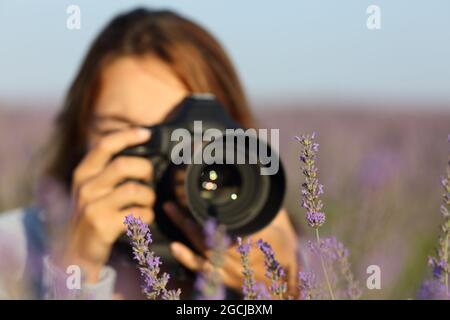 Fotograf mit dslr-Kamera, um Makrofotos von Lavendel in einem Feld zu machen Stockfoto