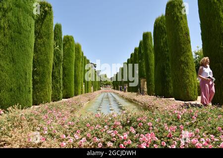 Córdoba Andalucía España jardines de el alcázar de los reyes cristianos 2021 Stockfoto