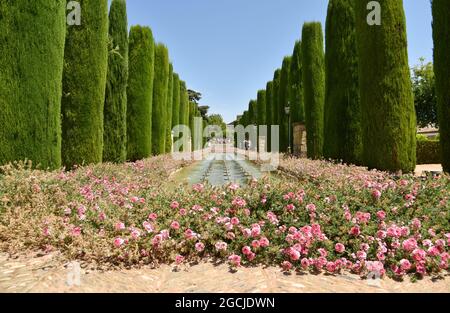 Córdoba Andalucía España jardines de el alcázar de los reyes cristianos 2021 Stockfoto
