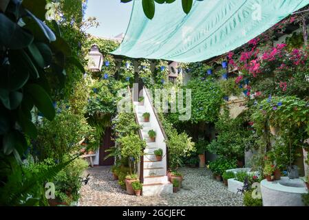 Córdoba andalucia España los Patios verde con su macetas 2021 Stockfoto