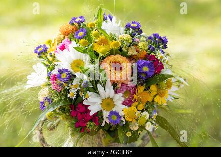 botanik, ländlicher Strauß mit Sommerblumen, ZUR BEGRÜSSUNG/POSTKARTE-VERWENDUNG IN KEIMSPRECHEN.C ES KÖNNEN BESTIMMTE EINSCHRÄNKUNGEN GELTEN Stockfoto