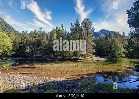 Der schöne Nationalpark Aiguestortes i Estany de Sant Maurici der spanischen Pyrenäen in Katalonien, schöner Gebirgsbach Stockfoto