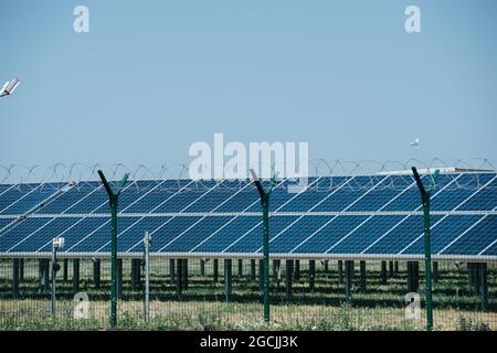 Kleiner Solarpark hinter einem Zaun. Vorderansicht. Über ihnen ist ein klarer blauer Himmel. Stockfoto