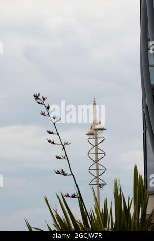 Strassenkarte gesehen zusammen mit Phormium Tenax Blumen. Stockfoto