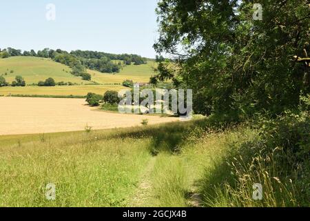 Weg durch die Landschaft in den sanften Chiltern Hills an der Grenze von Hertfordshire und Buckinghamshire, England, Großbritannien. Stockfoto