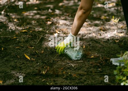 Crop anonyme Aktivist in Schutzhandschuhen Kommissionierung Plastikflasche vom Boden, während Müllabfuhr in der Natur Stockfoto