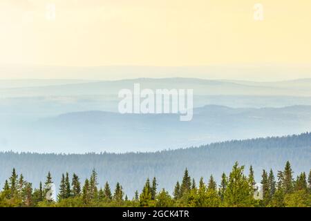 Blick auf die hügelige Waldlandschaft mit Schatten bei Sonnenaufgang Stockfoto