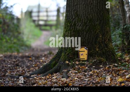 Die Tür Stockfoto