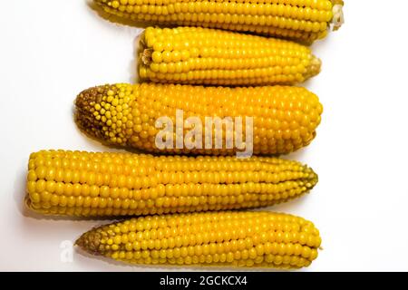 Gekochter gelber Mais auf weißem Hintergrund. Textur. Kreatives Essen. Kornschwankungen. Ganze und Teile von Mais. Ökologisches Lebensmittelkonzept. Selektiv Stockfoto