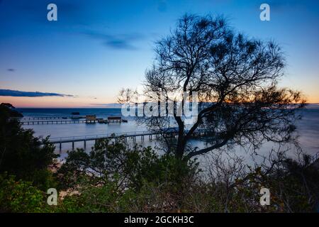 Piers entlang der Wanderung von Millionaire an einem kühlen Wintermorgen bei Sonnenaufgang auf der Mornington Peninsula in Sorrento, Victoria, Australien Stockfoto