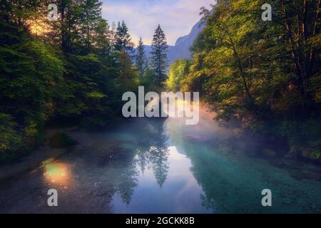Herrliche Nebellandschaft über einem ruhigen Fluss, der am Morgen in den Bergwäldern Sloweniens liegt Stockfoto