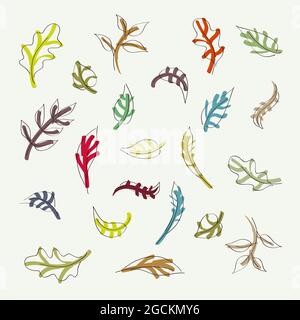 Satz von handgezeichneten Herbstblättern - Vektorgrafik Stock Vektor