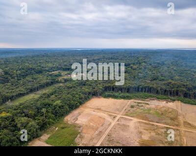 Luftaufnahme der Abholzung des Amazonas-Regenwaldes. Waldbäume zerstört, um Land für Gewerbegebiet zu öffnen. Konzept von Umwelt, Ökologie, Klima. Stockfoto