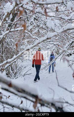 Blick von hinten ein Paar, das den Schnee durch den verschneiten Wald hinuntergeht Stockfoto
