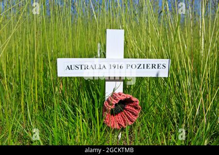 Gedenkkreuz für eines der vielen Tiere, die während des Ersten Weltkriegs beim Tierkriegsdenkmal des Ersten Weltkriegs in Pozieres (Somme), Frankreich, starben Stockfoto