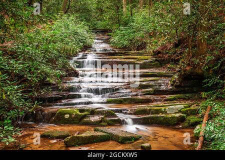 Panther Falls, Rabun County, Georgia am Tallulah River. Stockfoto