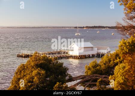 Piers entlang der Wanderung von Millionaire an einem kühlen Wintermorgen bei Sonnenaufgang auf der Mornington Peninsula in Sorrento, Victoria, Australien Stockfoto