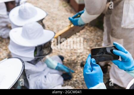 Von oben der Ernte nicht erkennbarer Imker, der die Gruppe der Kinder im Bienengarten auf dem Handy fotografiert Stockfoto