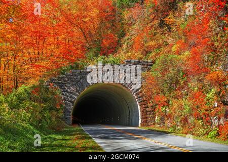 Blue Ridge Parkway Tunnel in Pisgah National Forest, NC, USA. Stockfoto