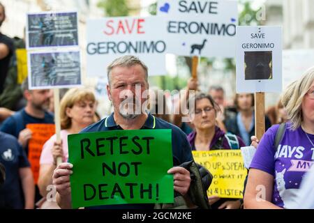 London, Großbritannien. 9. August 2021. Demonstranten vor der Downing Street, die für die Rettung des Lebens kämpfen Geronimo, der Alpaka, nachdem Umweltminister George Eustice eine umstrittene Entscheidung verteidigt hatte, das Tier, das zweimal positiv auf Rindertuberkulose getestet wurde, niederzuschlagen. Geronimos Besitzerin, Tierpflegerin Helen Macdonald, die Alpakas auf ihrer Farm in Wickwar, im Süden von Gloucestershire, züchtet, behauptet, die verwendeten Tests seien ungenau und möchte, dass Geronimo einen genaueren Actiphage-Test erhält. Kredit: Stephen Chung / Alamy Live Nachrichten Stockfoto