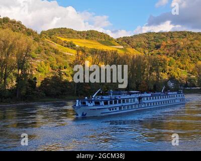 Kreuzschiff umgeben von Bäumen und bunten Feldern auf dem Rhein in Deutschland Stockfoto