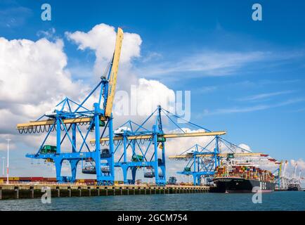 Port 2000 Containerterminal in Le Havre, Frankreich, ist mit super Post-panamax Container-Portalkranen ausgestattet, um die größten Containerschiffe zu empfangen. Stockfoto