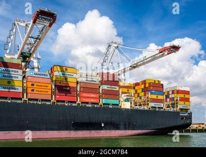 Stern vom MSC Bettina Containerschiff, das im Containerterminal Port 2000 in Le Havre, Frankreich, von Super Post-panamax-Containerbrücken entladen wird. Stockfoto