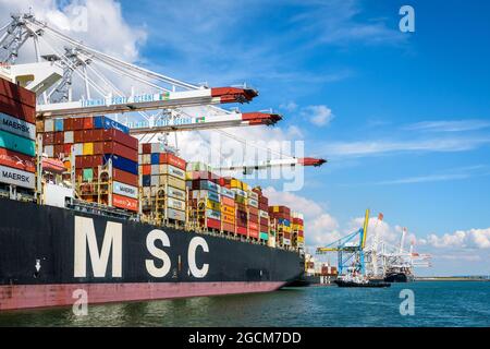 Seitenansicht des Containerschiffes MSC Bettina, das im Containerterminal Port 2000 in Le Havre, Frankreich, angedockt war und von Super-Post-panamax-Portalkranen entladen wurde Stockfoto