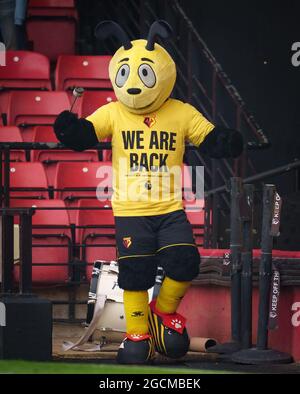 Watford, Großbritannien. Juli 2021. Harry the Hornet (Watford fc Mascot) während des 2021/22 Pre Season Freundschaftsspiel zwischen Watford und West Bromwich Albion in der Vicarage Road, Watford, England am 24. Juli 2021. Foto von Andy Rowland. Quelle: Prime Media Images/Alamy Live News Stockfoto