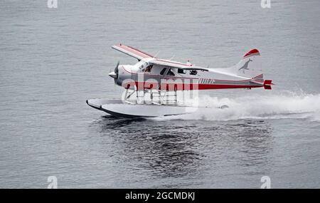 Ein DeHaviland Beaver-Buschflugzeug startet vom Hafen in Ketchikan, Alaska. Bush-Flugzeuge sind gemeinsame Sehenswürdigkeiten in der Hafengegend der Stadt, beide f Stockfoto