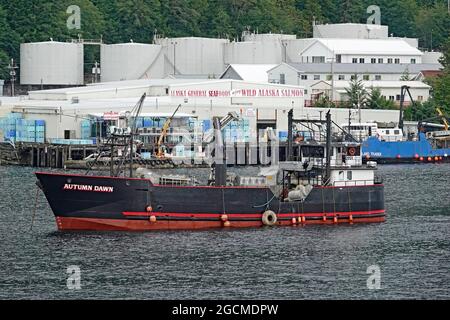 Ein Mutterschiff, ein Fischerboot, das frischen Fisch auf See fängt, verarbeitet und friert, vor einer Lachskannerei und einer Fabrik entlang des Wasserdampfes vor Anker liegt Stockfoto