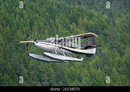 Ein DeHaviland Otter-Buschflugzeug startet vom Hafen in Ketchikan, Alaska. Bush-Flugzeuge sind gemeinsame Sehenswürdigkeiten in der Hafengegend der Stadt, sowohl für Stockfoto