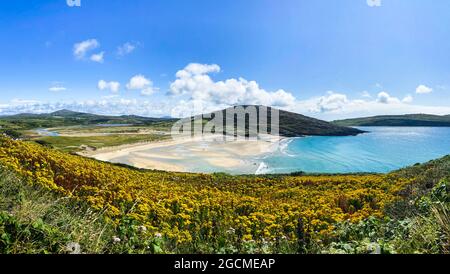 Luftaufnahme von Barleycove Beach, einem sanft geschwungenen goldenen Strand, der aus einer weitläufigen Landschaft zwischen den aufsteigenden grünen Hügeln des beaut besteht Stockfoto