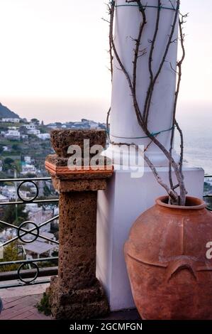 Säulen mit Baby-Bougainvillea-Rebstöcken, die gerade im März auf der italienischen Insel Capri ihre Reise beginnen. Stockfoto