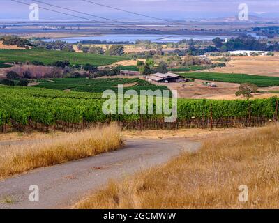 Napa Valley, eine funktionierende Scheune auf einem Weinberg. Stockfoto