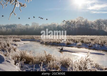 Bark River Hoar Frost Stockfoto