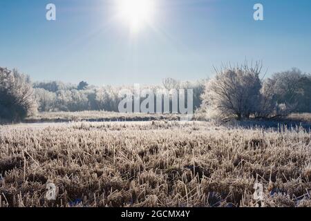 Bark River Hoar Frost Stockfoto