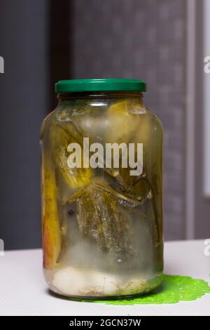 Eingelegte Gurken in Gläsern. Saisonale Konservierung von Gemüse. Nahaufnahme. Stockfoto