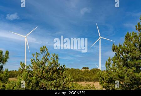 Moderne Windmühlen auf Hügeln in der Landschaft inmitten von Vegetation installiert. Stockfoto