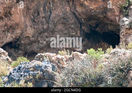 Alte Höhlenmalereien. Yavi, Jujuy, Argentinien Stockfoto