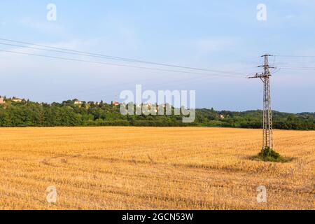 Weizenstoppel nach der Ernte in der Nähe von Sarvar, Ungarn Stockfoto