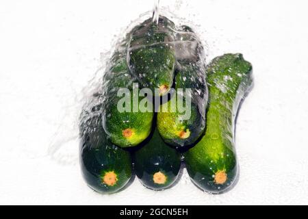 Zucchini liegen auf einer weißen Oberfläche. Zucchini mit Spritzwasser werden in einem Haufen auf einer weißen Oberfläche gestapelt Stockfoto