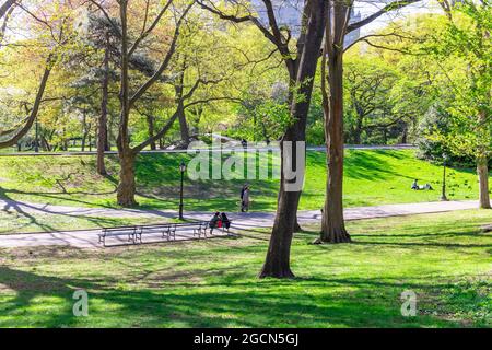 Im Central Park NYC laufen die Menschen den Fußweg unter frischen grünen Bäumen entlang Stockfoto