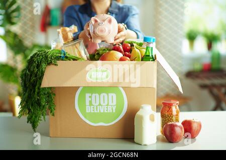 Lieferung von Lebensmitteln. Nahaufnahme des Weibchens mit Futterbox und Sparschwein in der Küche. Stockfoto