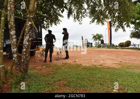 Labrador Retriever Armeehunde bereit für die Suche nach dem Veranstaltungsort vor einem Cricket-Spiel. Auf dem malerischen Cricket-Gelände der Army Ordinance. Dombagoda. Sri Lanka. Stockfoto