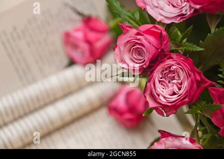 Moody Nahaufnahme einer schönen rosa Rosen mit geöffnetem, verblurten Buch im Hintergrund Stockfoto