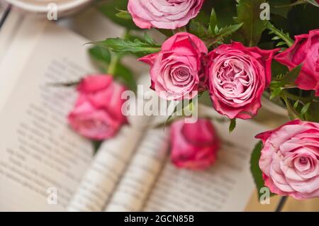 Moody Nahaufnahme einer schönen rosa Rosen mit geöffnetem, verblurten Buch im Hintergrund Stockfoto